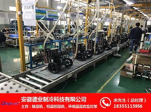 地下室除濕利器 德業除濕機的安裝、維護與選購指南